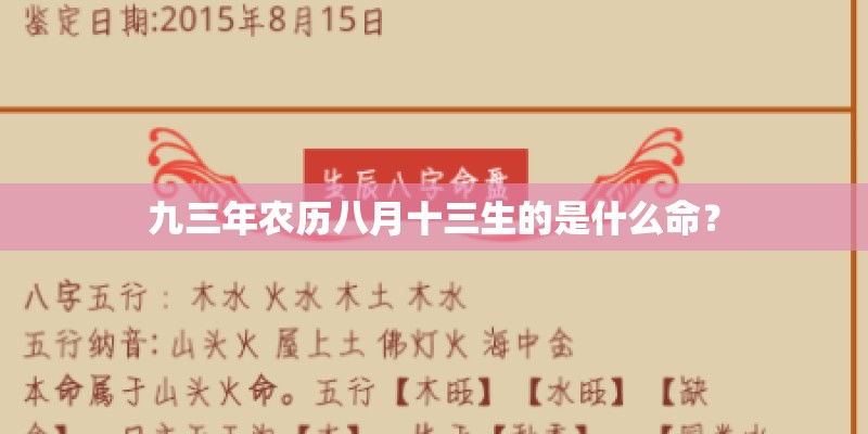 九三年农历八月十三生的是什么命？