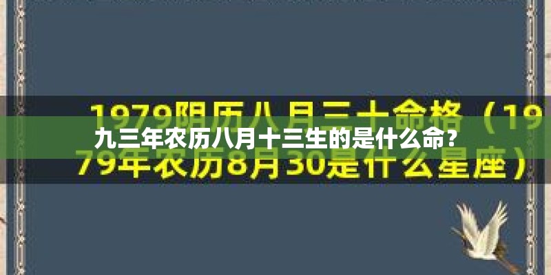 九三年农历八月十三生的是什么命？