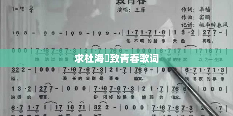 求杜海赟致青春歌词