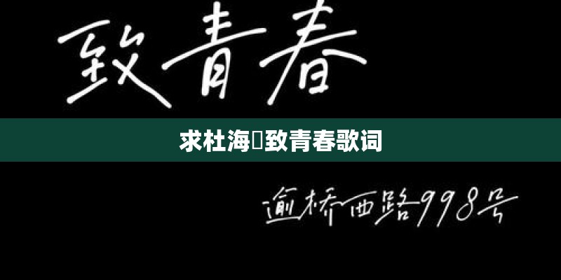 求杜海赟致青春歌词
