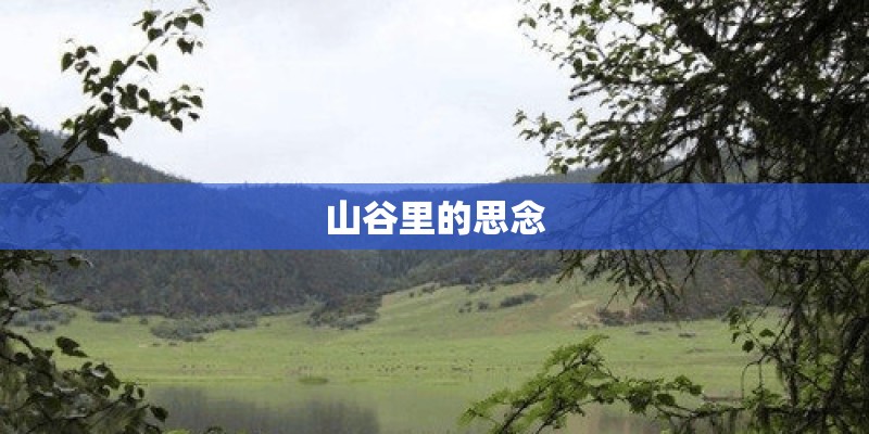 山谷里的思念