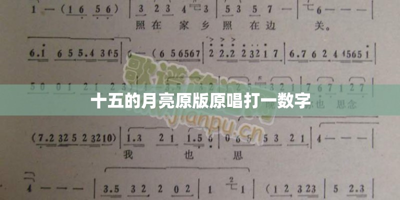 十五的月亮原版原唱打一数字