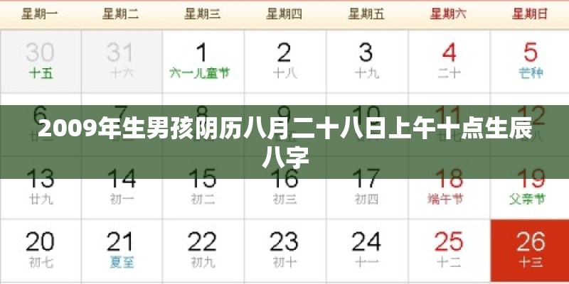 2009年生男孩阴历八月二十八日上午十点生辰八字