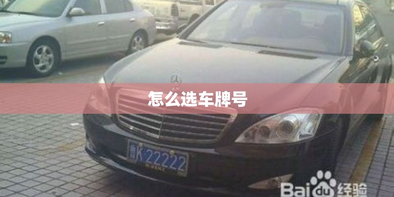 怎么选车牌号
