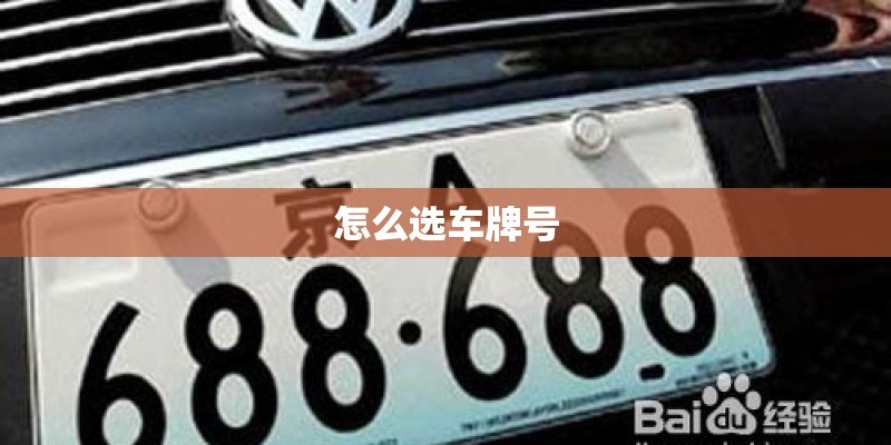 怎么选车牌号