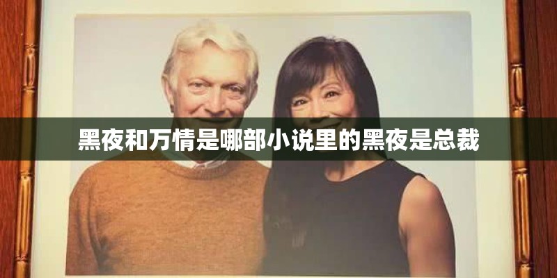 黑夜和万情是哪部小说里的黑夜是总裁