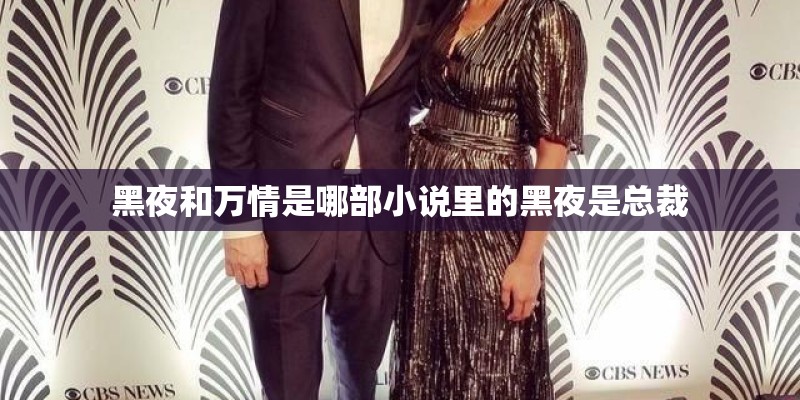 黑夜和万情是哪部小说里的黑夜是总裁