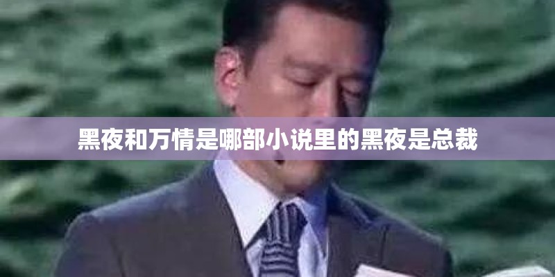 黑夜和万情是哪部小说里的黑夜是总裁