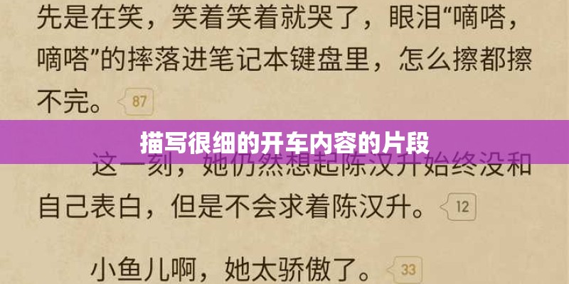 描写很细的开车内容的片段 描写很细的开车内容的片段