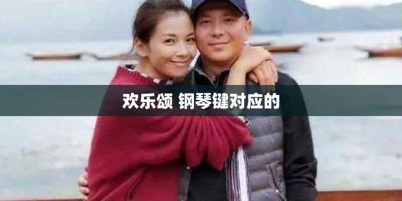 欢乐颂 钢琴键对应的