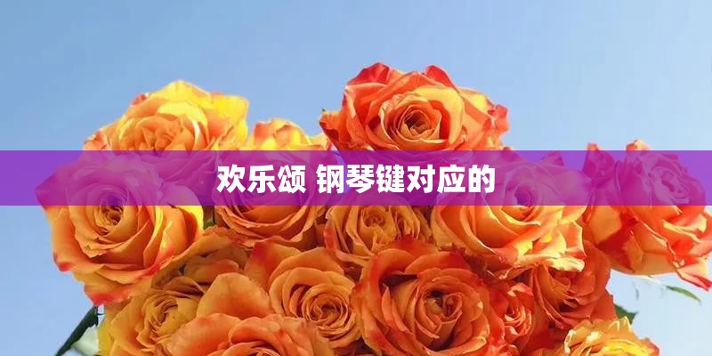 欢乐颂 钢琴键对应的