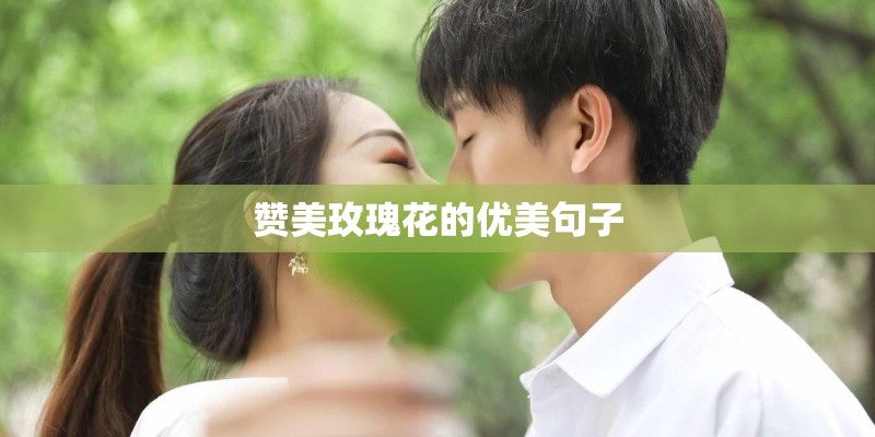 赞美玫瑰花的优美句子 赞美玫瑰花的优美句子