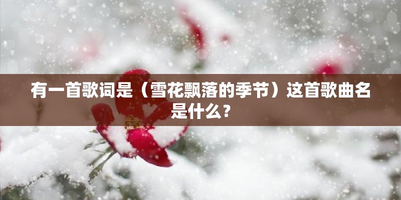 有一首歌词是（雪花飘落的季节）这首歌曲名是什么？