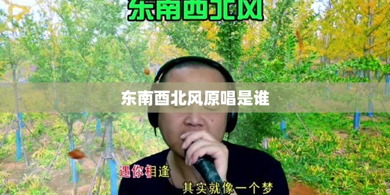 东南酉北风原唱是谁