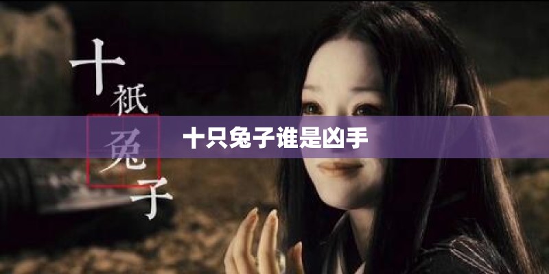 十只兔子谁是凶手