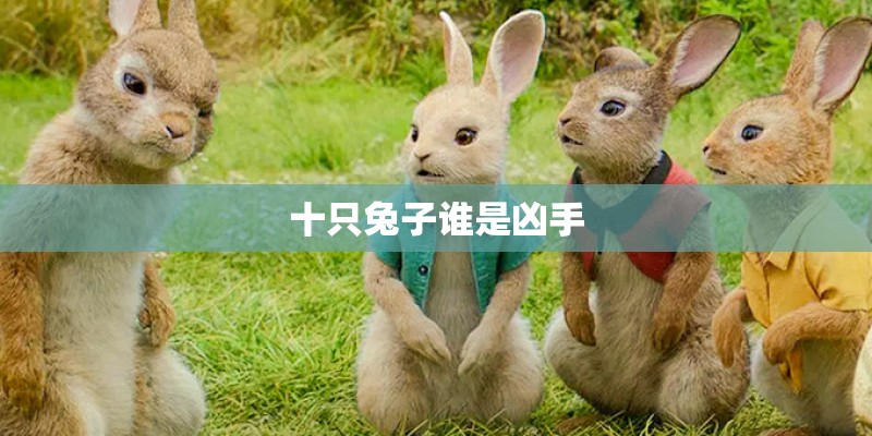 十只兔子谁是凶手