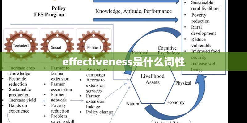 effectiveness是什么词性