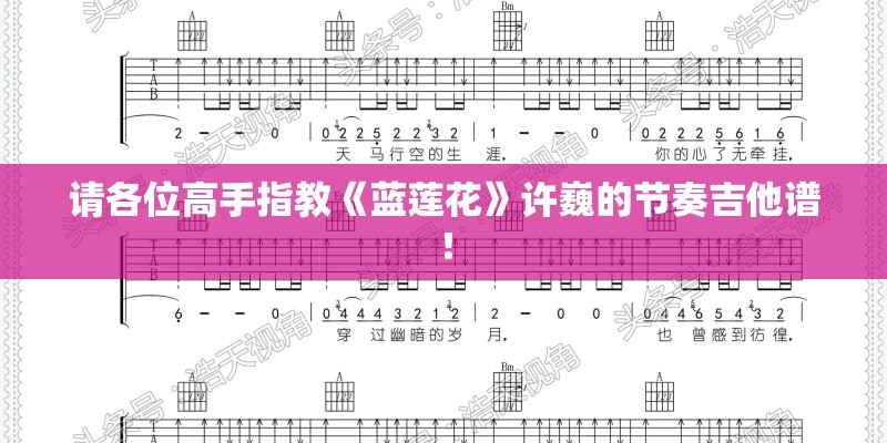 请各位高手指教《蓝莲花》许巍的节奏吉他谱！