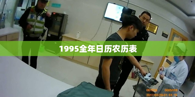 1995全年日历农历表