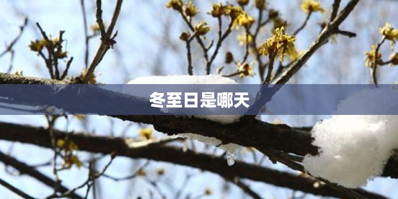 冬至日是哪天