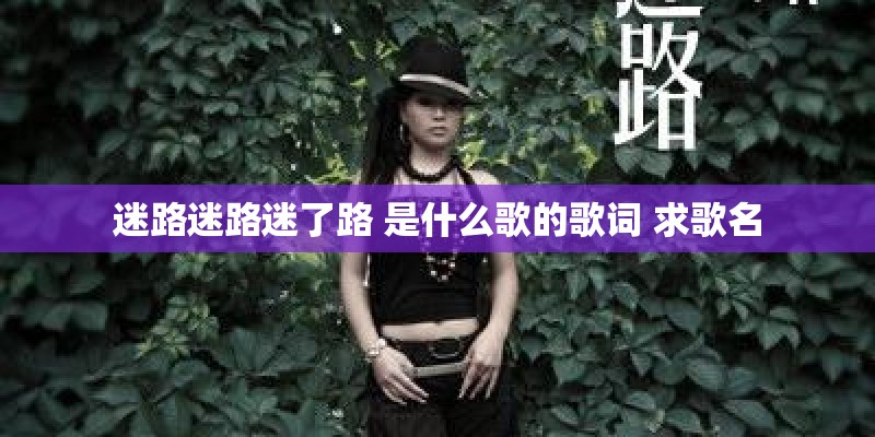 迷路迷路迷了路 是什么歌的歌词 求歌名