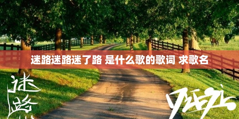 迷路迷路迷了路 是什么歌的歌词 求歌名