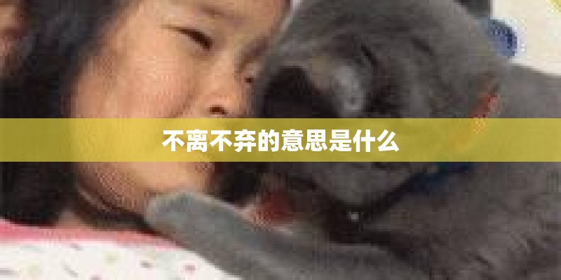 如何育花椒苗