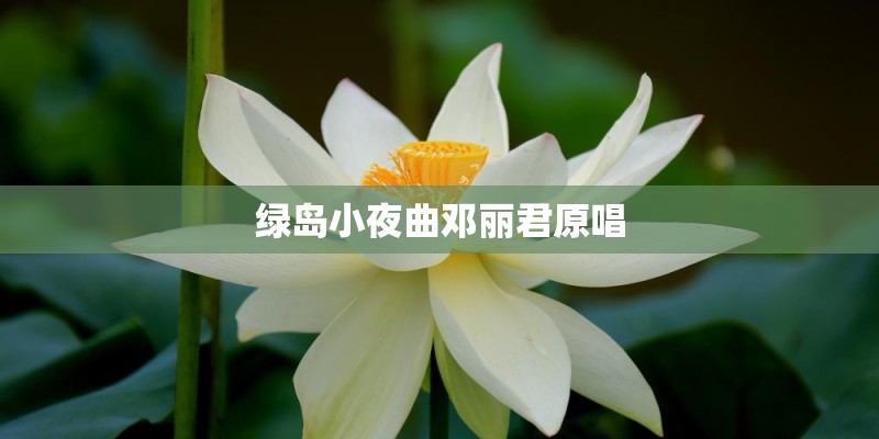 绿岛小夜曲邓丽君原唱 绿岛小夜曲邓丽君原唱