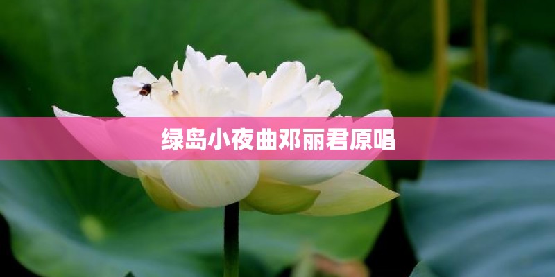 绿岛小夜曲邓丽君原唱 绿岛小夜曲邓丽君原唱