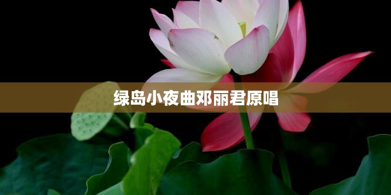 绿岛小夜曲邓丽君原唱 绿岛小夜曲邓丽君原唱
