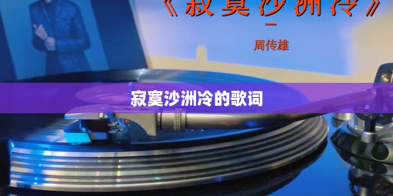 寂寞沙洲冷的歌词