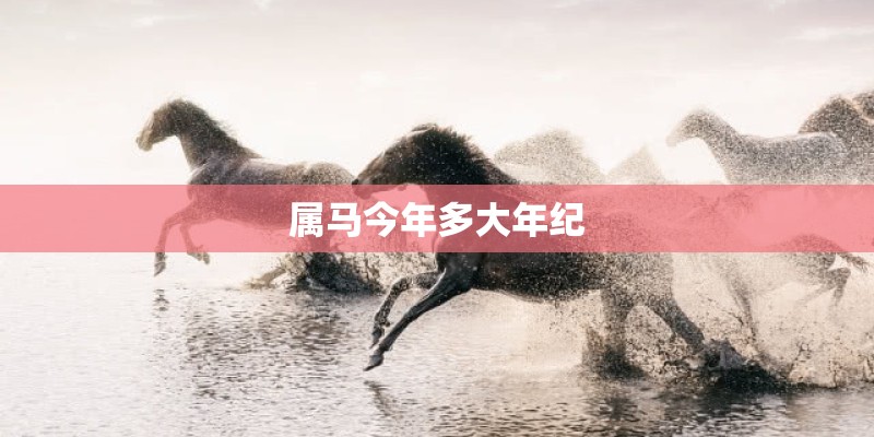 属马今年多大年纪