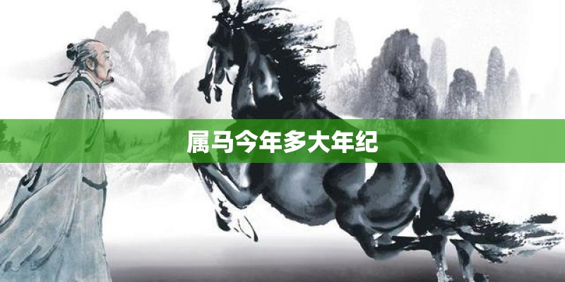 属马今年多大年纪