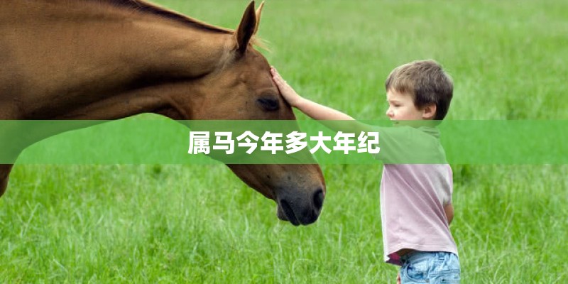 属马今年多大年纪