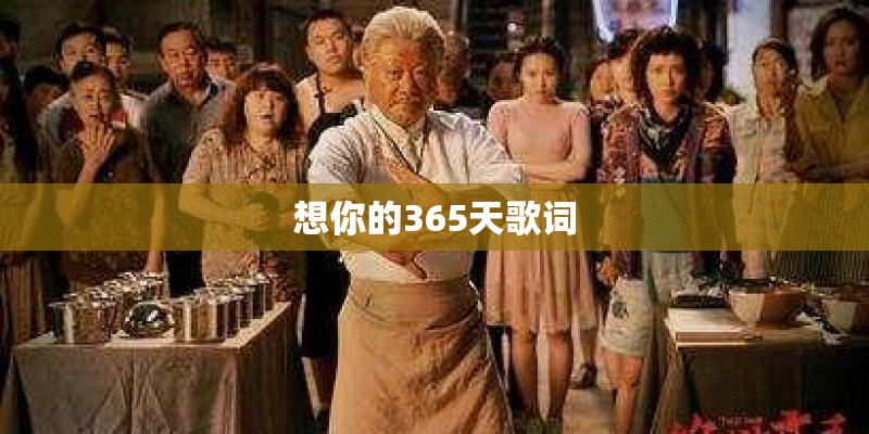 想你的365天歌词