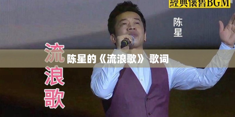 陈星的《流浪歌》 歌词