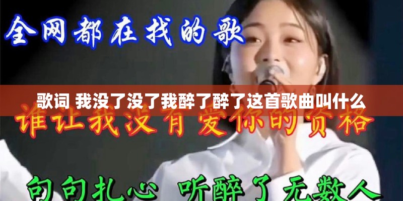 歌词 我没了没了我醉了醉了这首歌曲叫什么