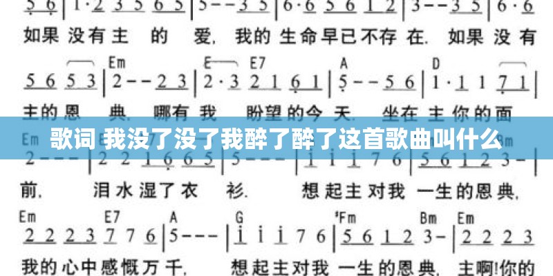 歌词 我没了没了我醉了醉了这首歌曲叫什么
