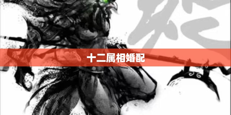 十二属相婚配