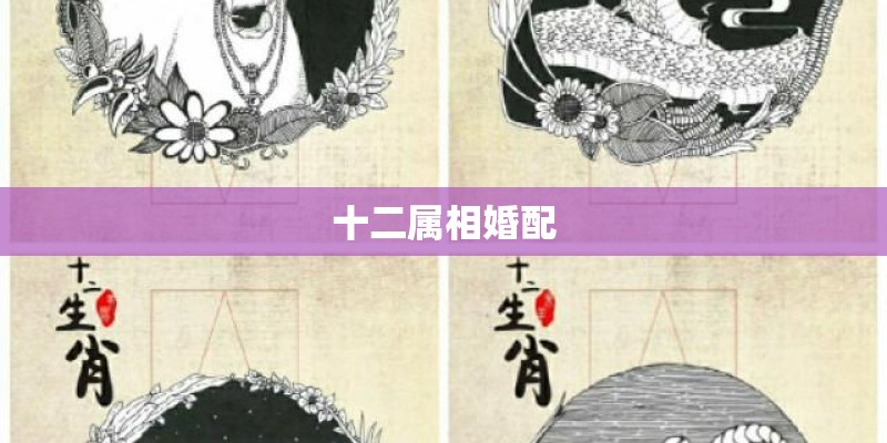 十二属相婚配