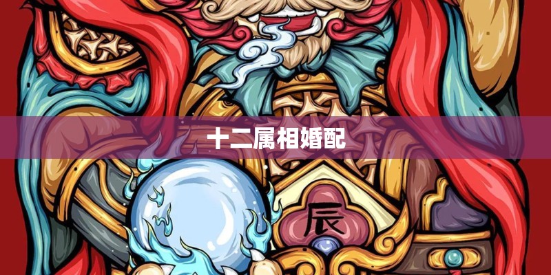 十二属相婚配