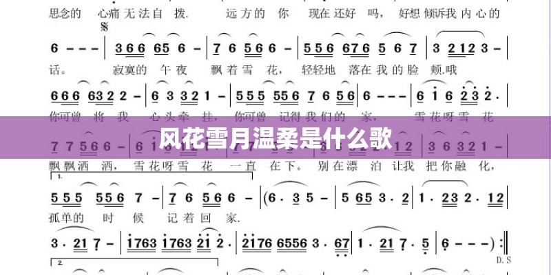 风花雪月温柔是什么歌