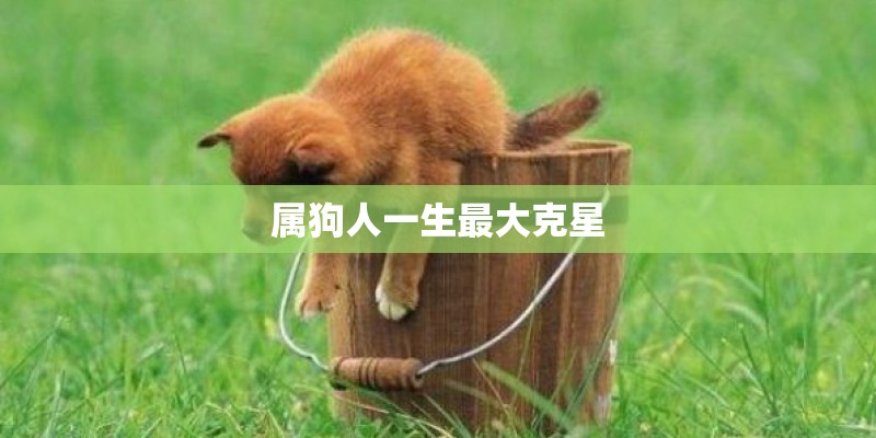属狗人一生最大克星