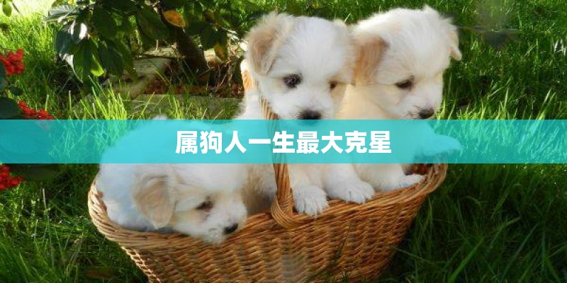幼儿园大班月计划表内容是什么? 幼儿园大班月计划表内容是什么?