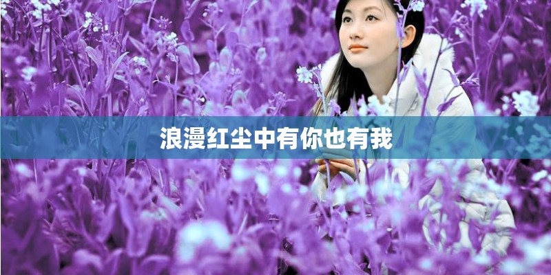 浪漫红尘中有你也有我 浪漫红尘中有你也有我