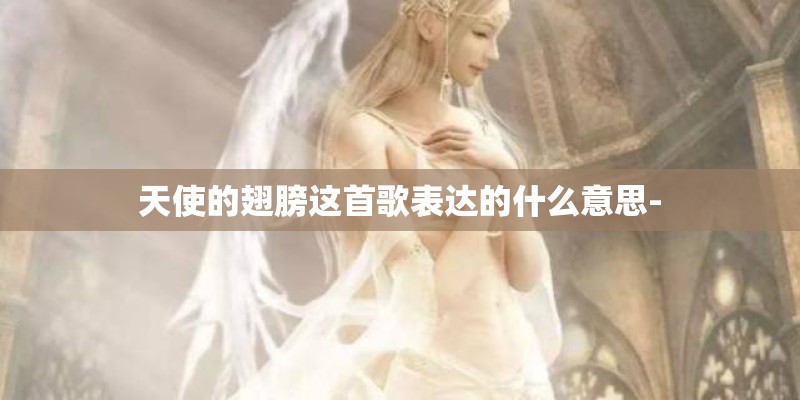 天使的翅膀这首歌表达的什么意思-