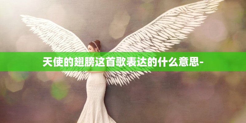 天使的翅膀这首歌表达的什么意思-