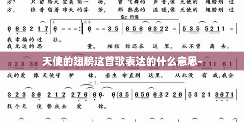 天使的翅膀这首歌表达的什么意思-