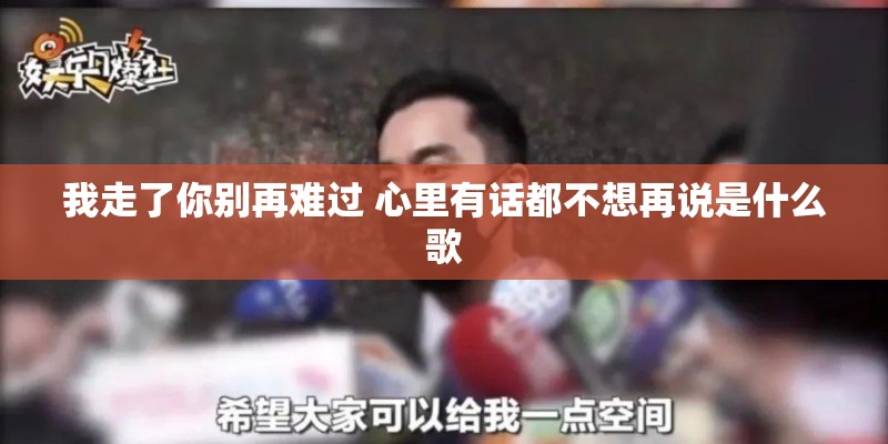我走了你别再难过 心里有话都不想再说是什么歌