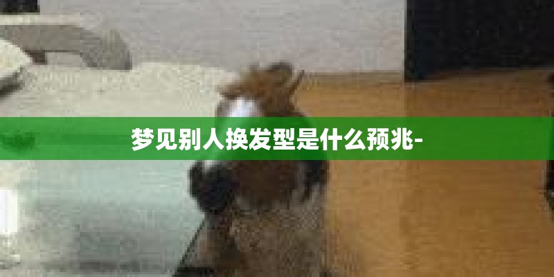 梦见别人换发型是什么预兆-